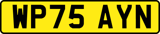 WP75AYN