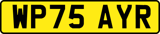 WP75AYR