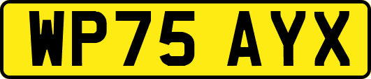WP75AYX