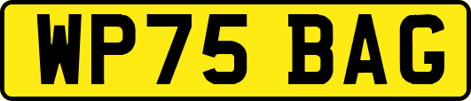 WP75BAG