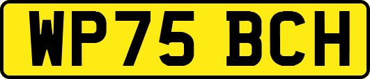 WP75BCH