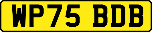 WP75BDB
