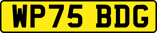 WP75BDG