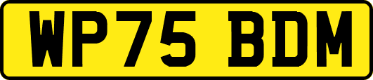 WP75BDM