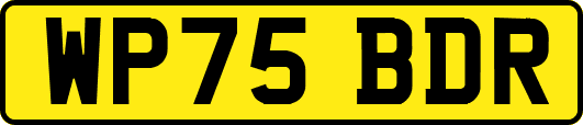WP75BDR