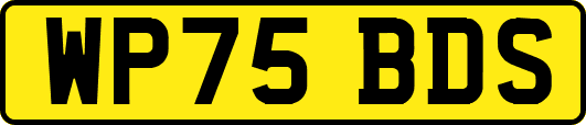 WP75BDS