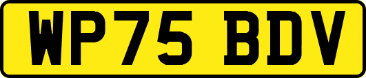 WP75BDV