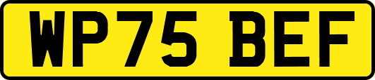 WP75BEF