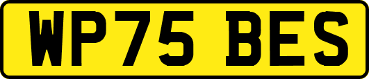 WP75BES