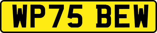 WP75BEW