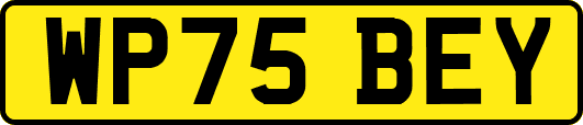 WP75BEY