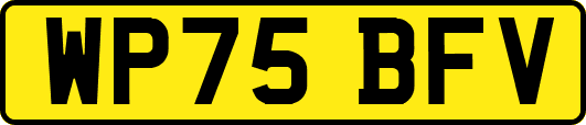 WP75BFV