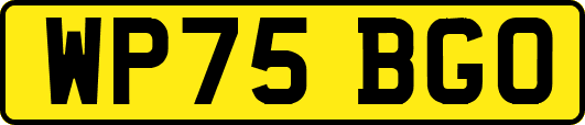 WP75BGO