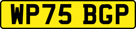 WP75BGP