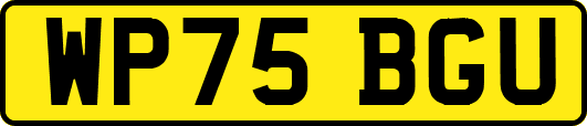 WP75BGU