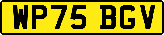 WP75BGV