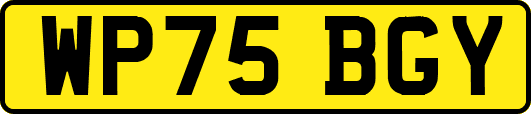 WP75BGY