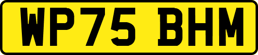 WP75BHM
