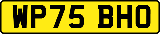 WP75BHO