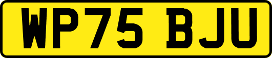 WP75BJU
