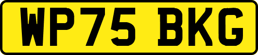 WP75BKG
