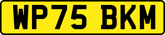 WP75BKM