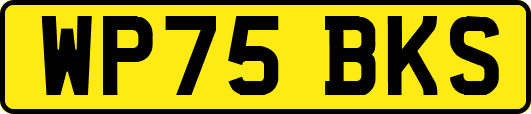 WP75BKS