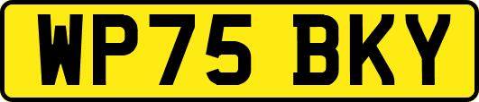 WP75BKY