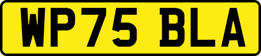 WP75BLA