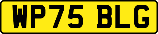 WP75BLG