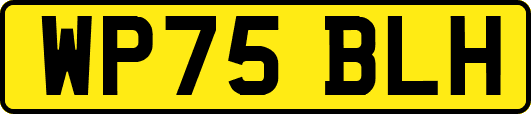 WP75BLH