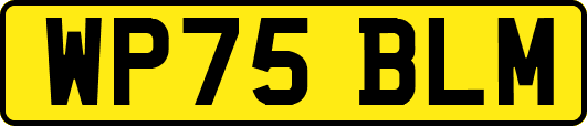 WP75BLM