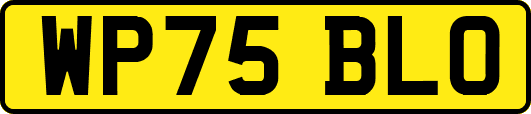 WP75BLO