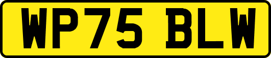 WP75BLW