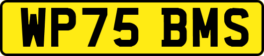 WP75BMS