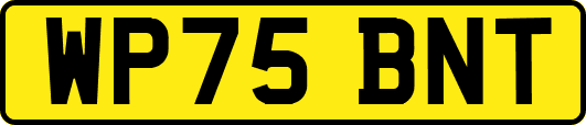 WP75BNT