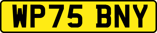 WP75BNY
