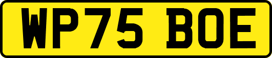 WP75BOE