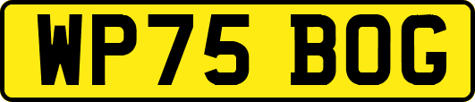 WP75BOG