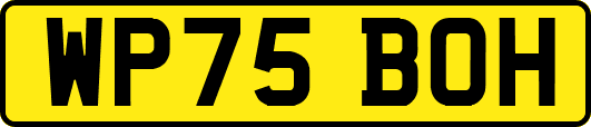 WP75BOH