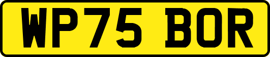 WP75BOR