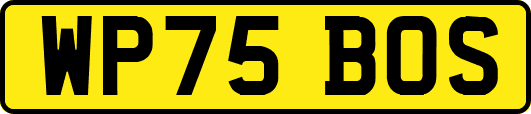 WP75BOS