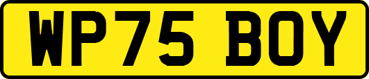 WP75BOY