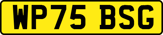 WP75BSG