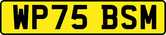 WP75BSM