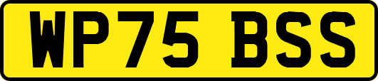 WP75BSS