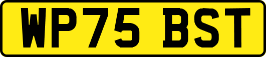 WP75BST