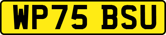 WP75BSU