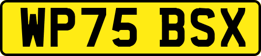 WP75BSX