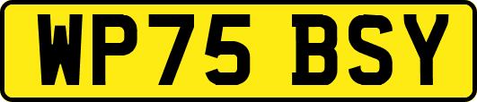 WP75BSY